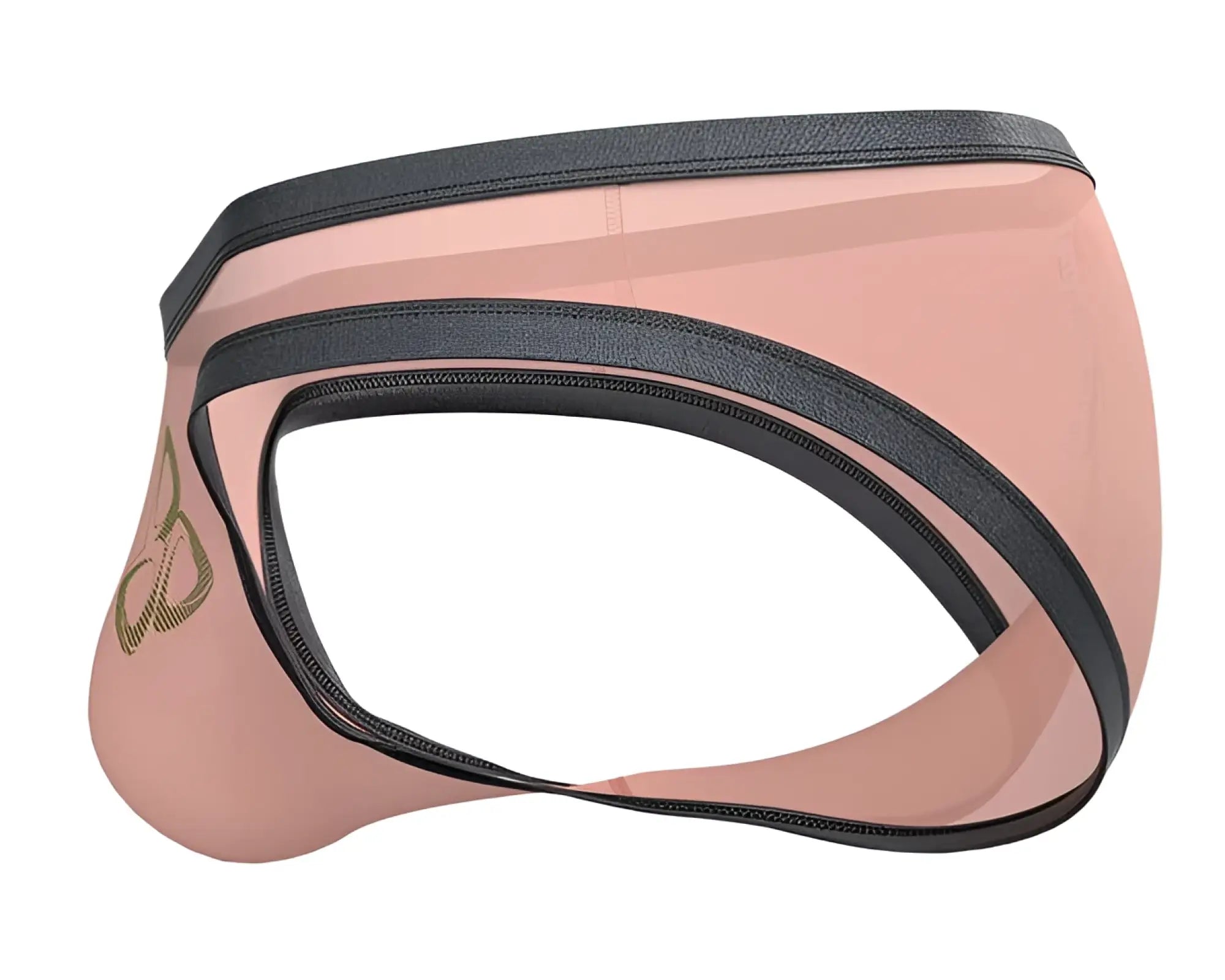 Pink transparent briefs with black elastic waistband and leg bands and gold logo side detail in private structure brut4393 bare bikini orange