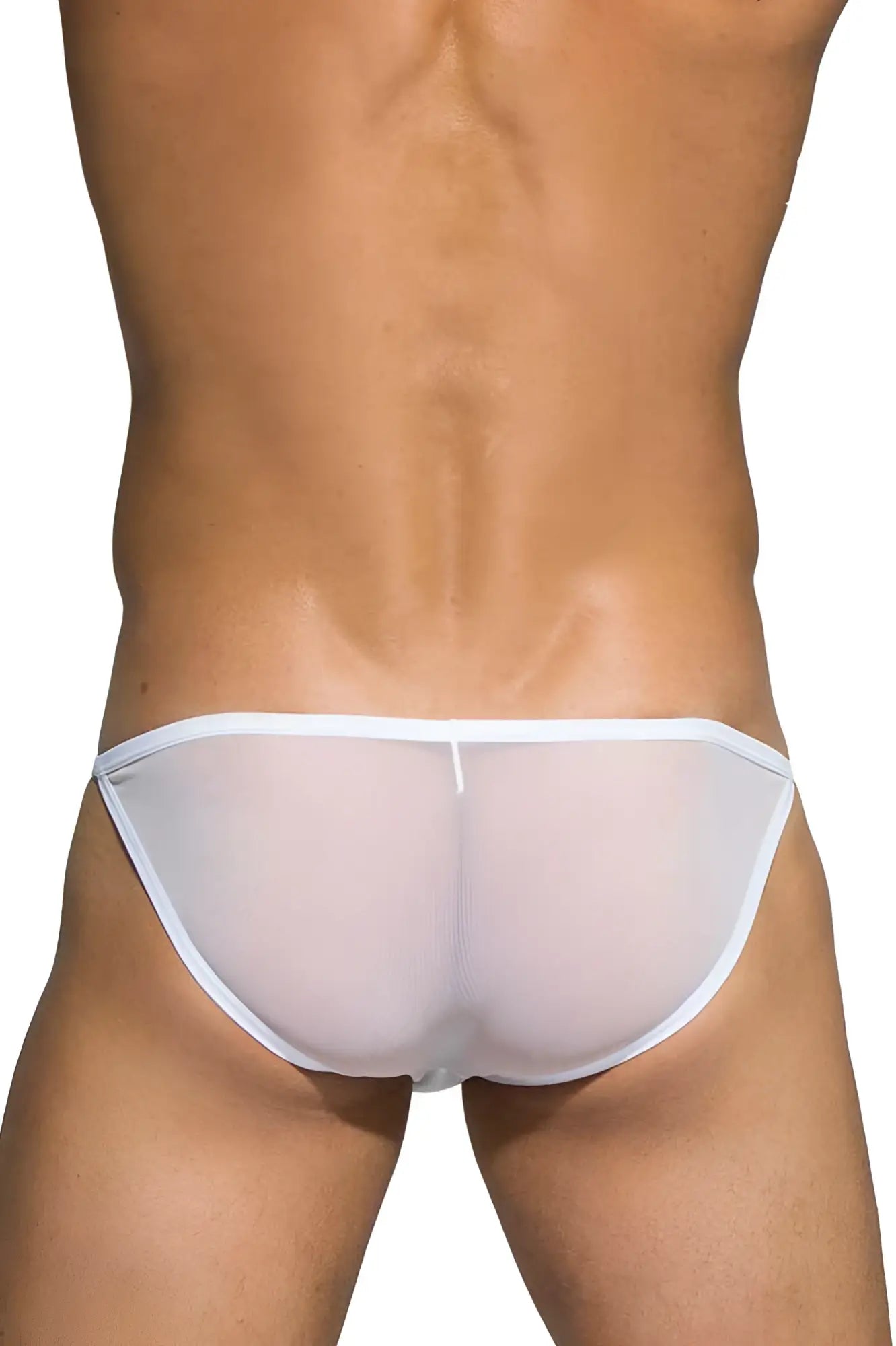 White sheer mesh briefs with a white elastic waistband private structure diamu3454bt desire intima low rise bikini