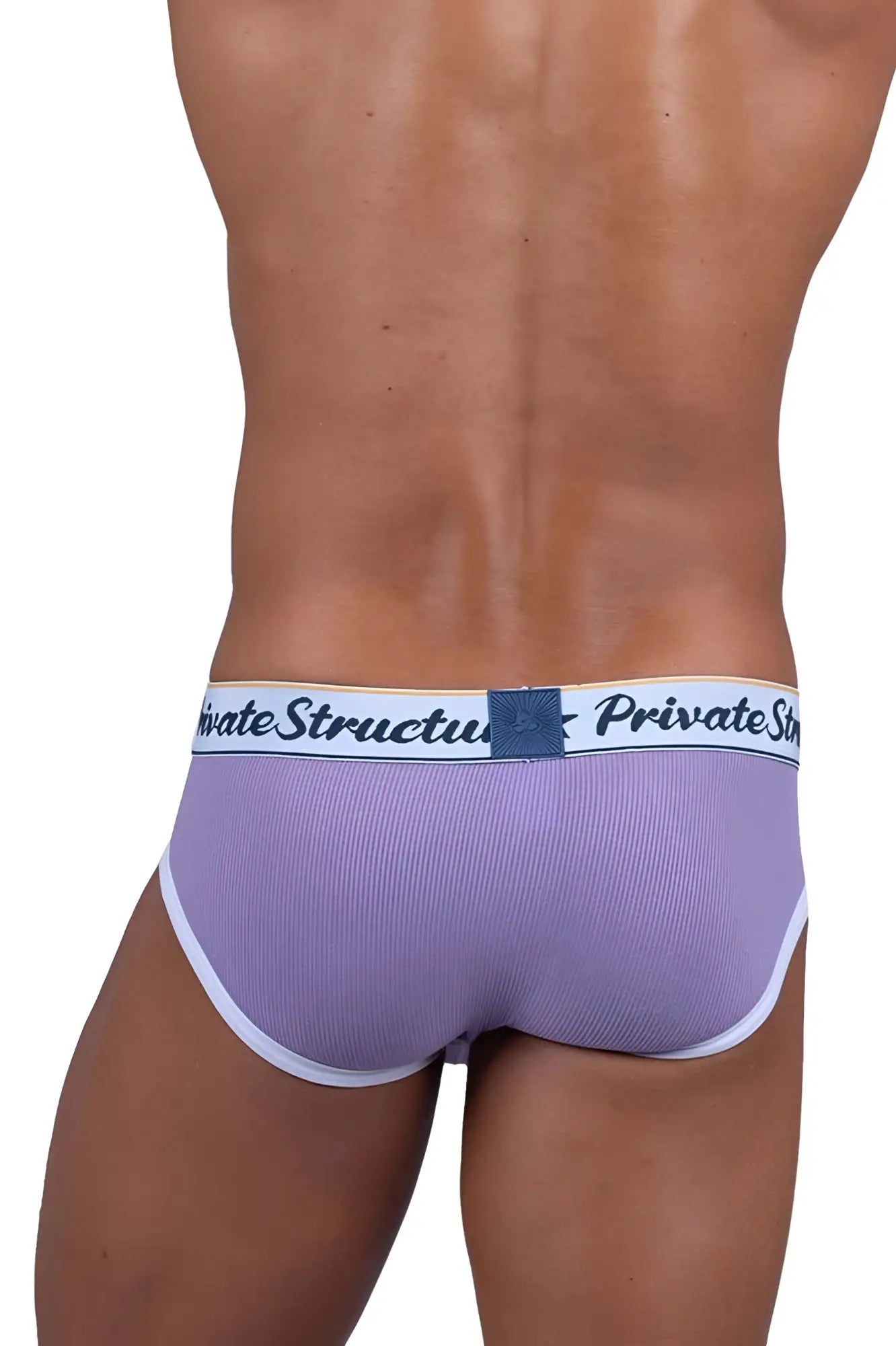 Lavender ribbed private structure classic mid waist mini briefs with white trim and branded waistband front view
