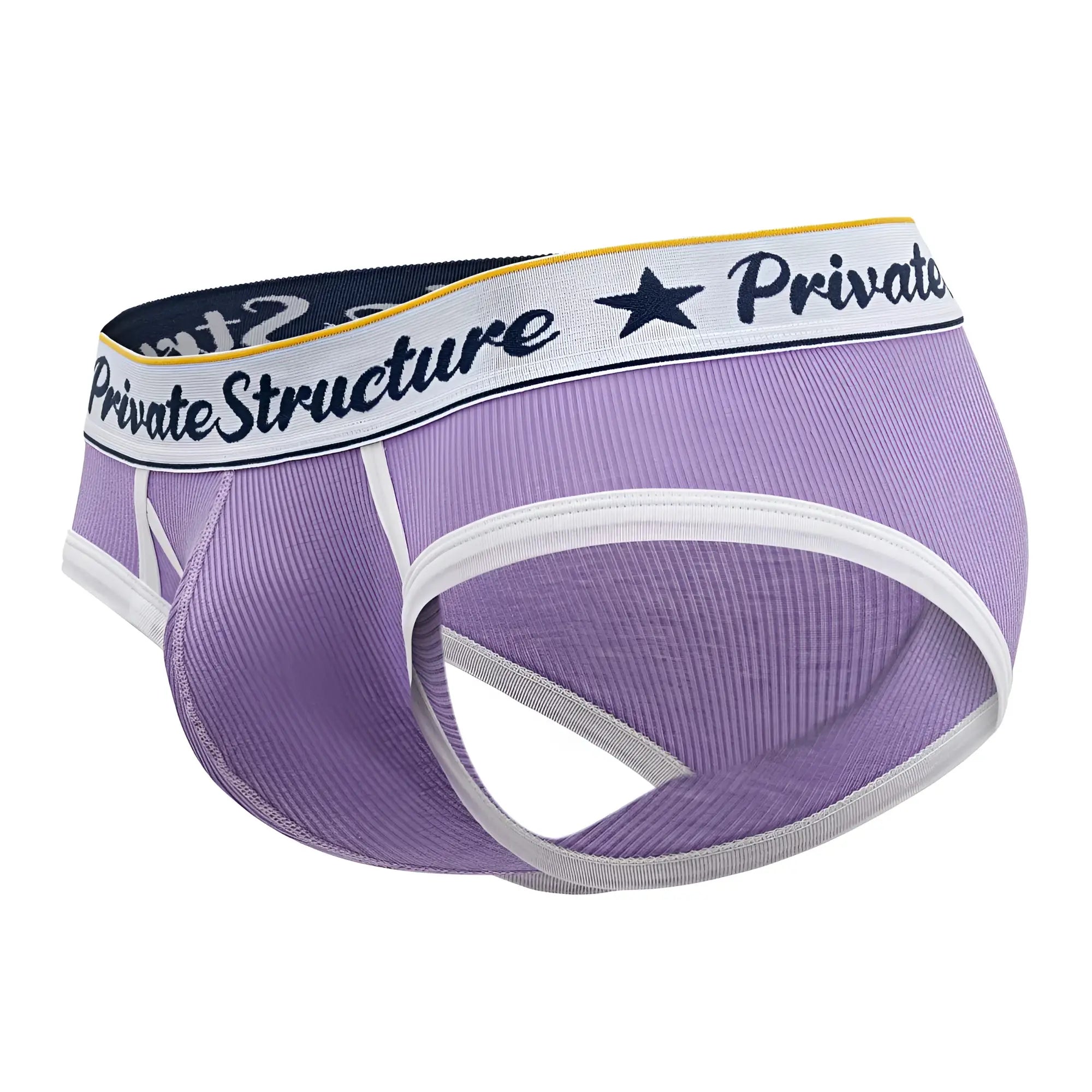 Purple ribbed mens briefs with white trim and private structure waistband classic mid waist mini brief style