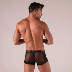 Black sheer mesh briefs with solid black waistband from rebel zipped trunks collection, front view