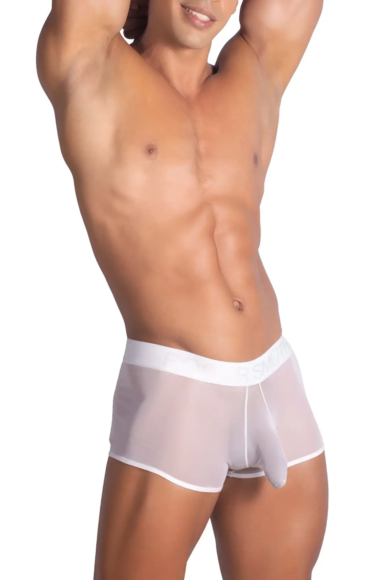 White sheer mesh briefs with white elastic waistband from roger smuth rs072 trunks in white color