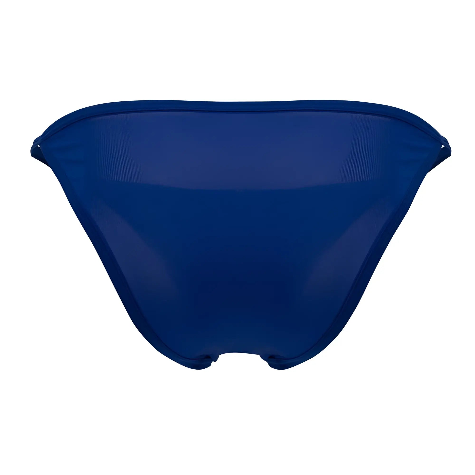 Deep blue sheer mesh bikini bottom with sleek minimalist design by roger smuth color royal blue back view