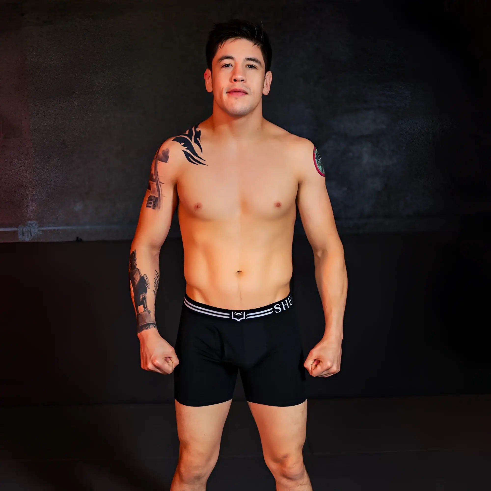Black briefs with a white striped waistband featuring the she logo from the sheath 4.0 best-seller dual pouch boxer briefs