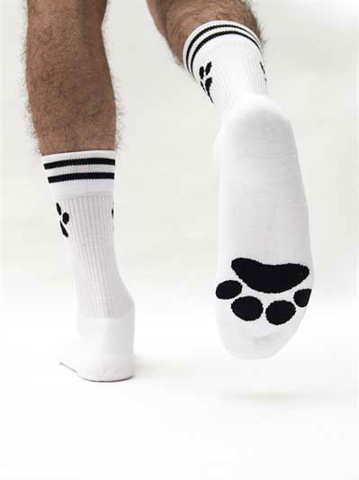 Sk8erboy Chaussettes pour chiots Blanc 442420 Taille 39-42