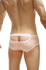 PetitQ Brief Glimpse Giraffe