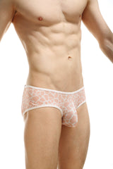 PetitQ Brief Glimpse Giraffe