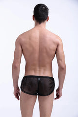 Black sheer mesh briefs snap shorts petitq black with solid waistband and vertical seam detail shown from the back