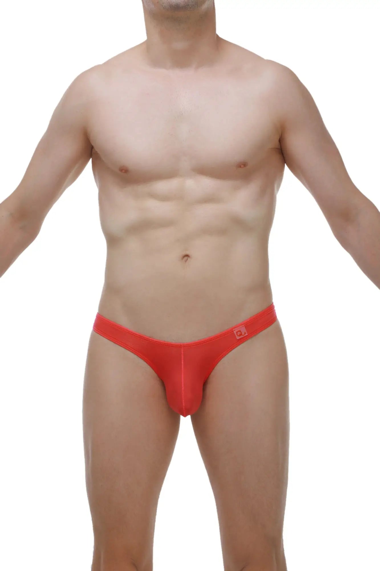 Thong Dome plum crimson red form-fitting men’s briefs with smooth stretchy fabric and small waistband logo visible from back