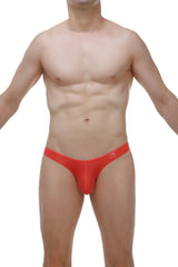 Thong Dome plum crimson red form-fitting men’s briefs with smooth stretchy fabric and small waistband logo visible from back