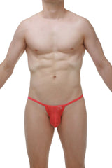 Bright red sheer mesh thong with small logo on front from thong migny plum crimson collection