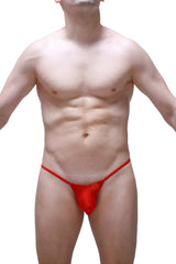 Red sheer mesh thong migny plum red with sleek minimalist design shown from the back side
