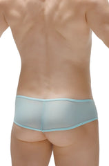 Light blue sheer mesh briefs with matching elastic waistband thong toga net teal style