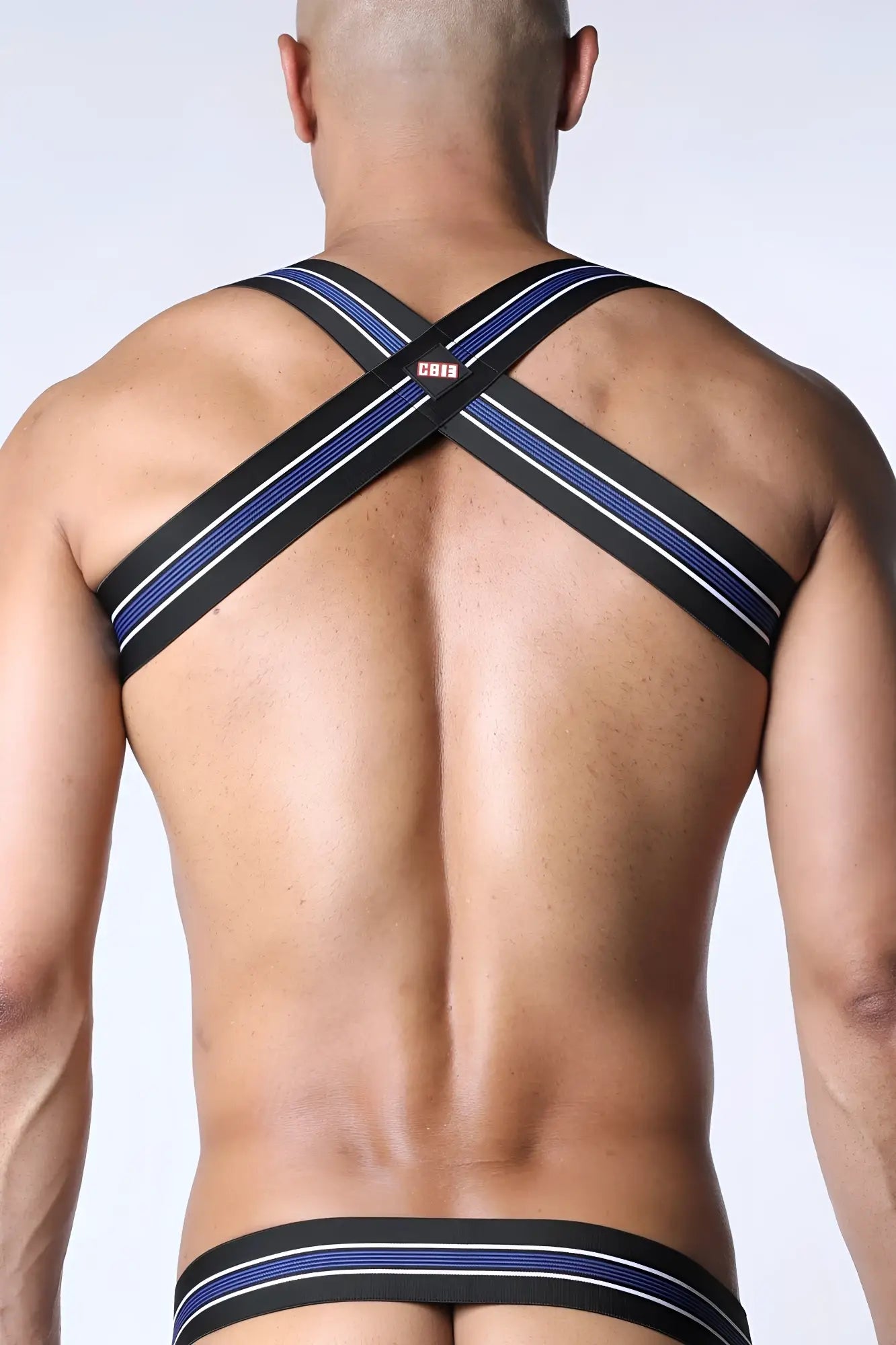 Tight end elastic harness with black and blue stripes white trim and cross-back design featuring red cb12 logo center