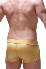 Gold metallic briefs trunk taik joe gold featuring shiny gold fabric and sleek trunk design for stylish wear