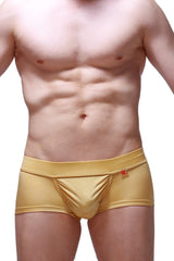 Gold metallic briefs trunk taik joe gold with a red logo on the waistband front view