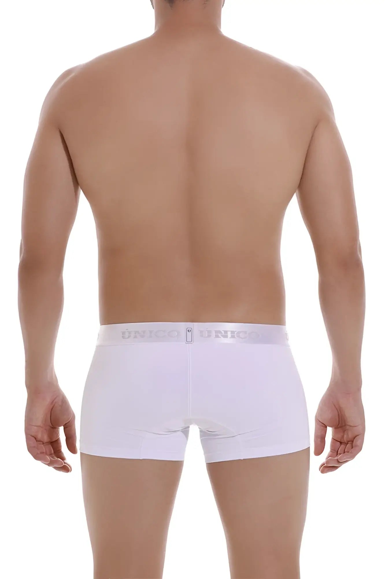 White unico men’s briefs with silver branded waistband from unico 22120100105 cristalino m22 trunks color 00-white
