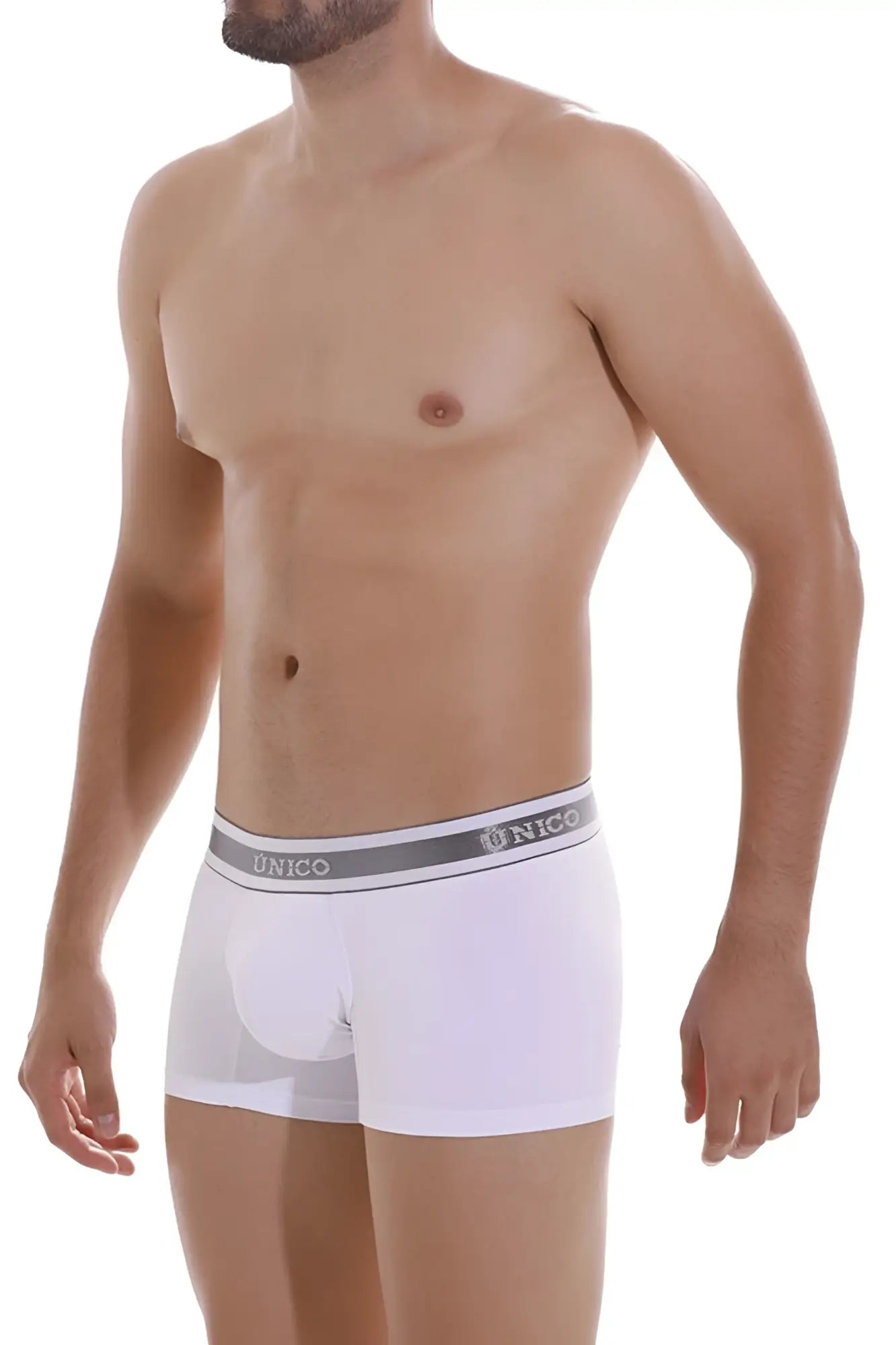 White unico boxer briefs with a gray waistband featuring the brand logo in color 00-white lustre a22 trunks