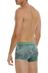 Teal and gray patterned banico boxer briefs with textured waistband in green for comfortable everyday wear