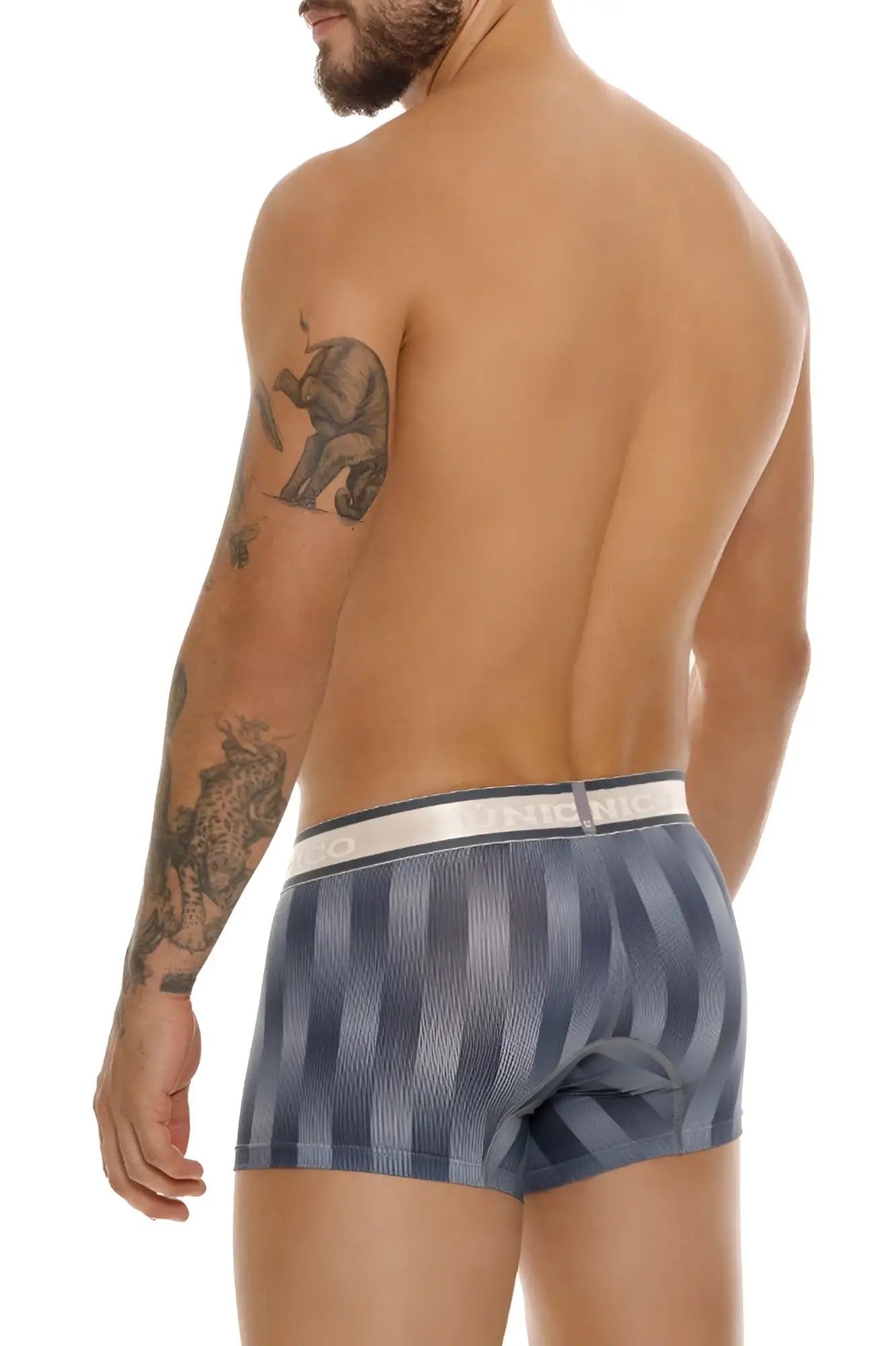 Unico 24100100114 ejes trunks color 59-gray blue and gray striped boxer briefs with white elastic waistband front view