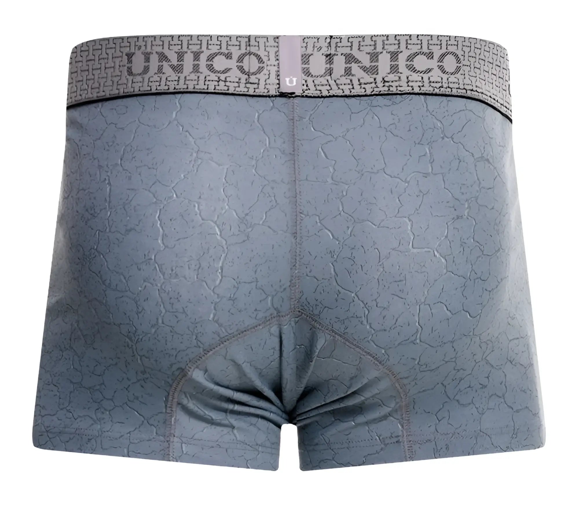 Gray unico baldio trunks with cracked texture pattern and branded waistband in color 59 gray front view