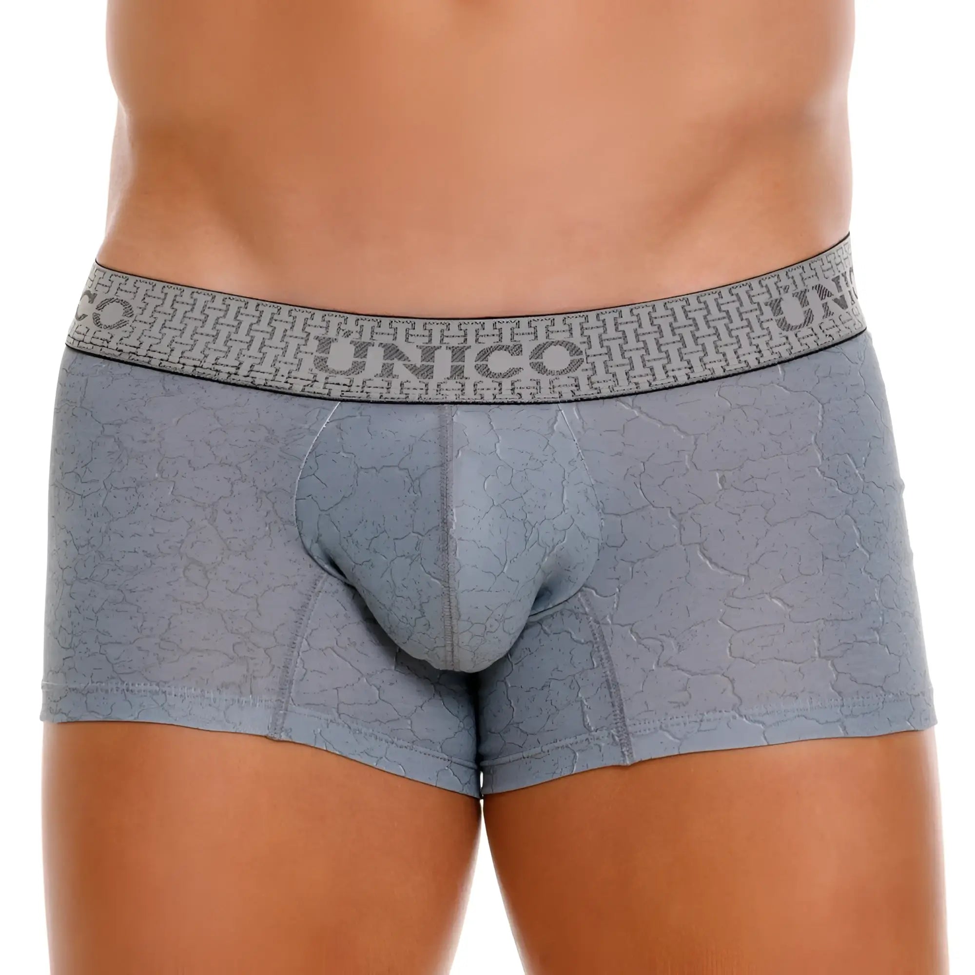 Gray unico 25020100116 baldio trunks boxer briefs with subtle cracked texture and branded waistband in color gray