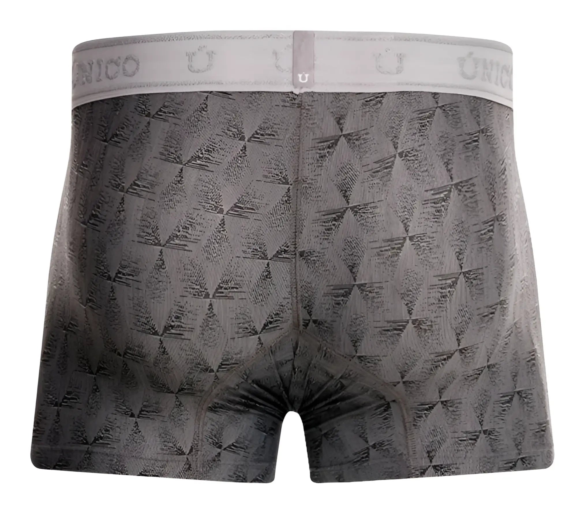 Gray unico boxer briefs with subtle geometric pattern and branded elastic waistband in color 59 gray front view