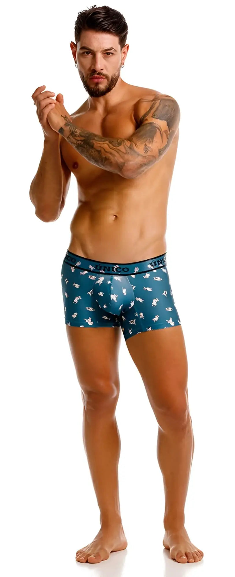Teal unico 25060100104 chihuahua trunks boxer briefs with white bird pattern and logo waistband in blue color