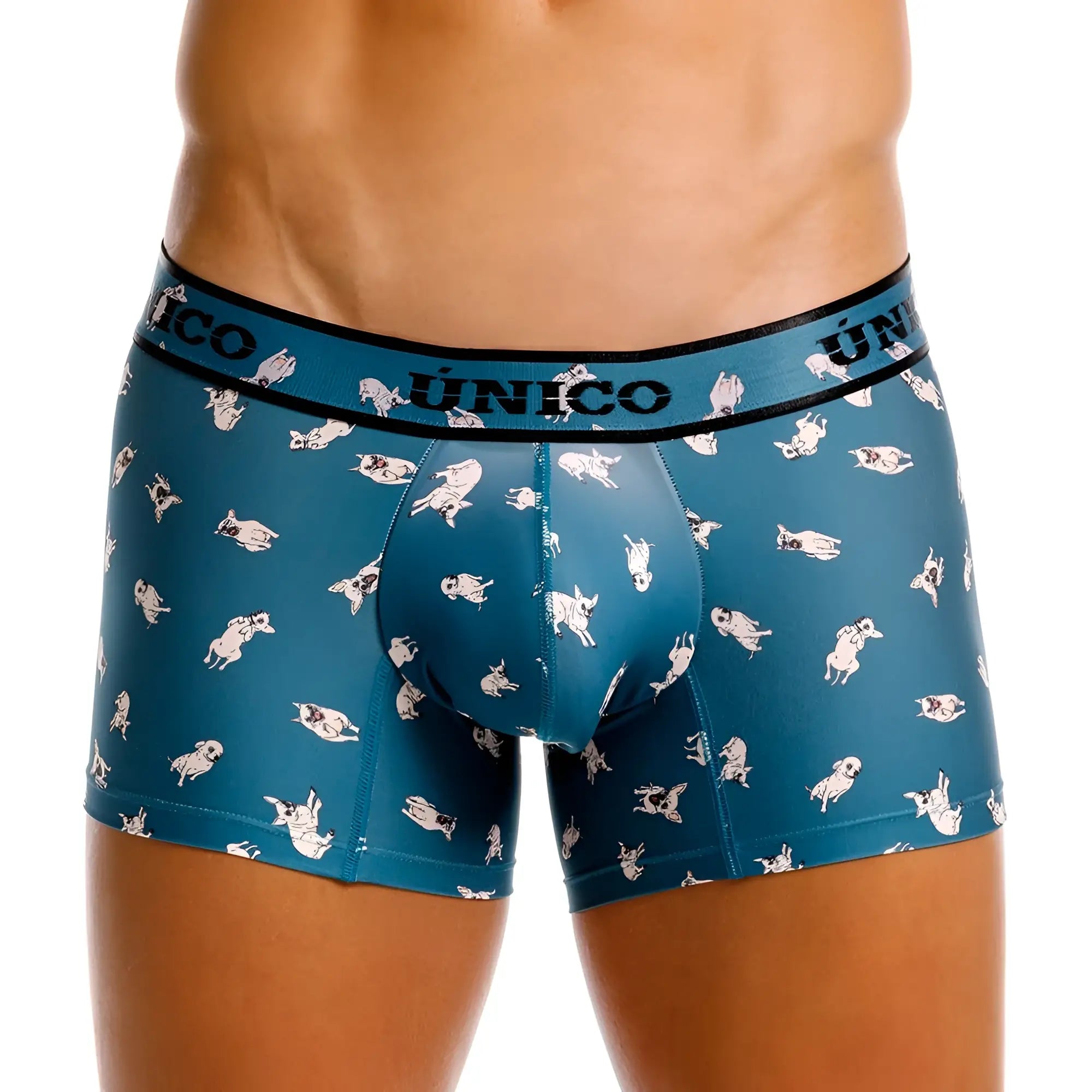 Teal men’s boxer briefs with playful white pug pattern and único branded waistband, unico 25060100104 chihuahua trunks color 43-blue