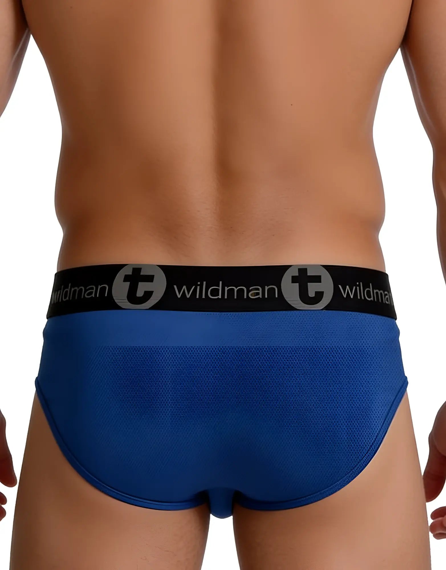 Blue wildman briefs with black waistband wildman logo and gray circular t emblem in wildmant big boy pouch mesh brief