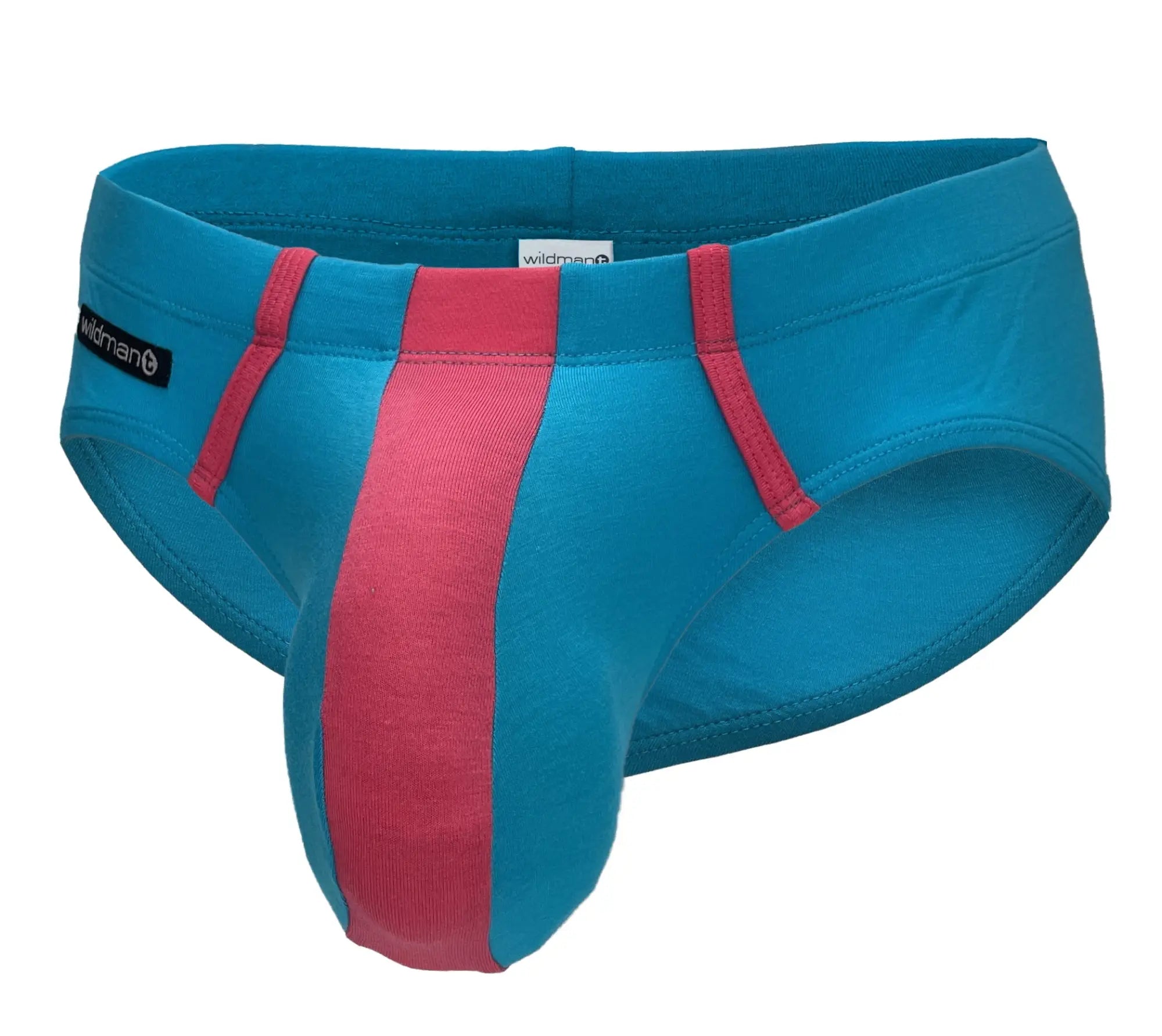 Teal and pink striped wildmant big boy pouch modal briefs with bold modern design in baby blue and pink colors