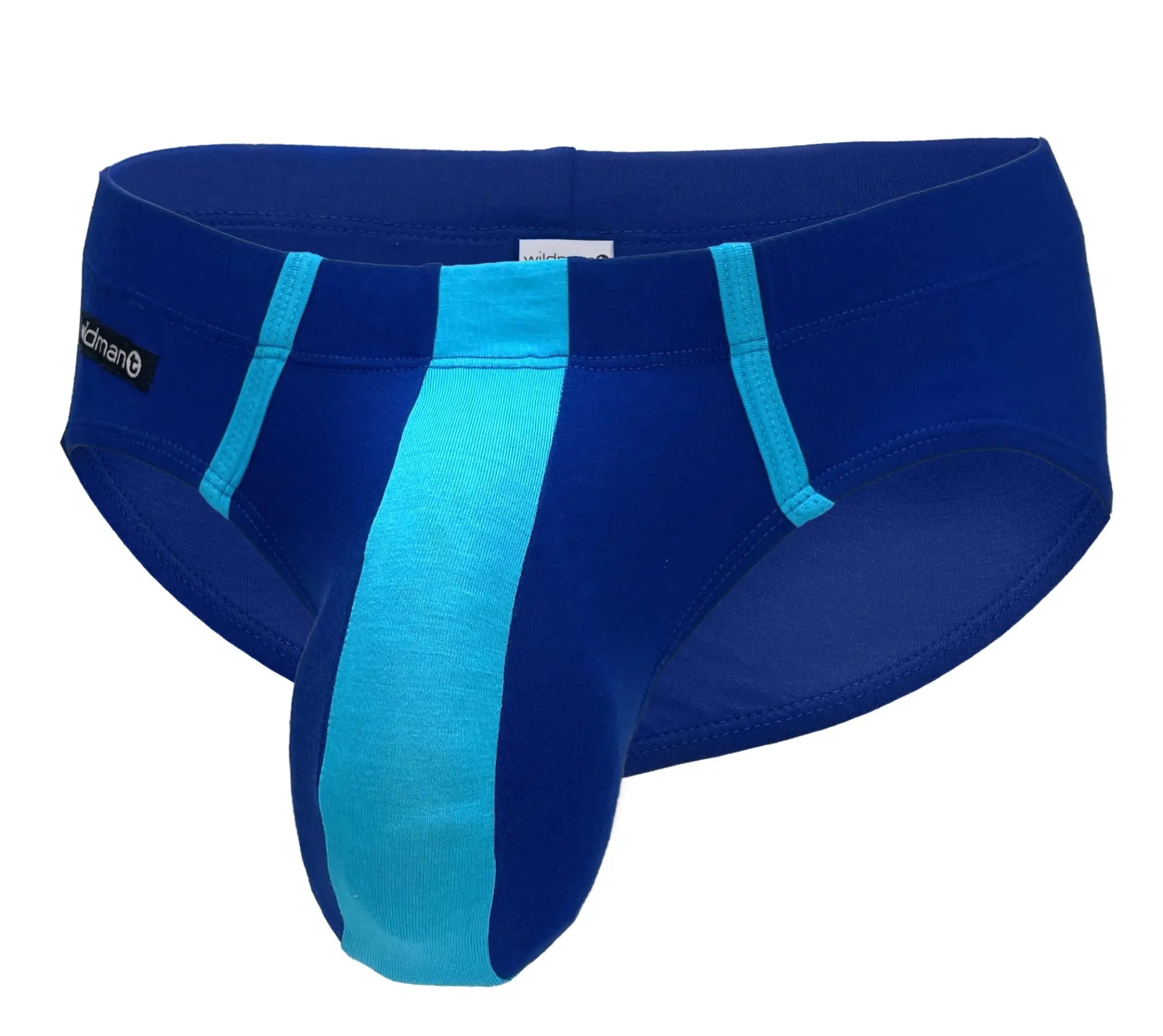 Wildmant big boy pouch modal briefs in royal blue and baby blue with blue and teal striped snug swim trunks design