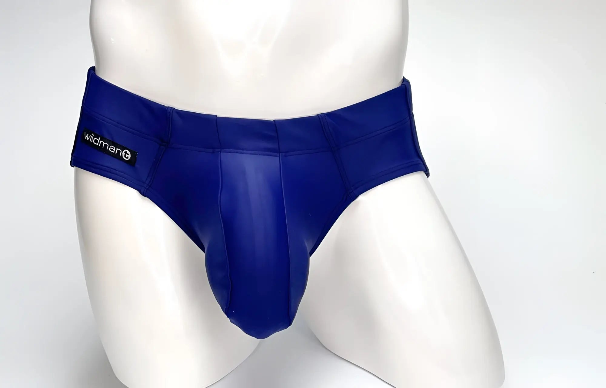 Royal blue glossy finish men’s briefs with wildman waistband label wildmant big boy pouch swim brief navy