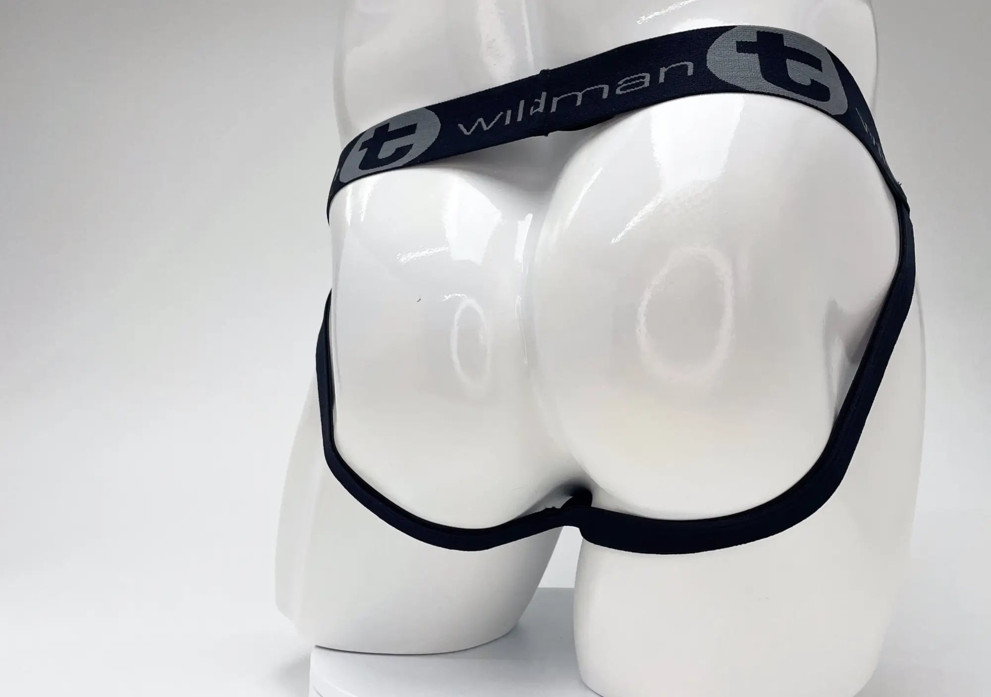 Black wildman brand cotton briefs with sleek form-fitting design and elastic waistband in royal blue and baby blue