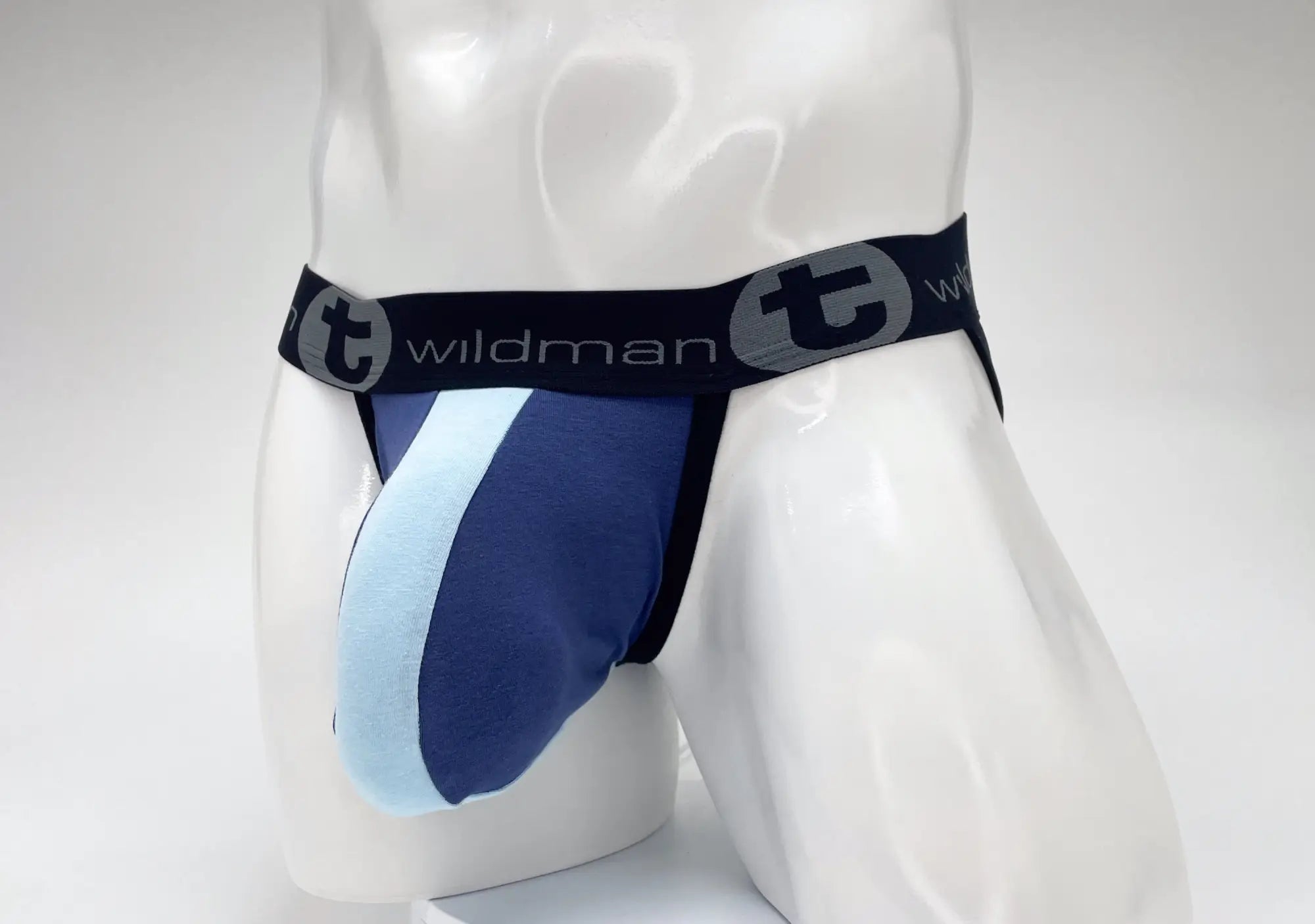 Blue and light blue striped cotton wildman briefs with black waistband featuring wildman brand logo royal blue baby blue
