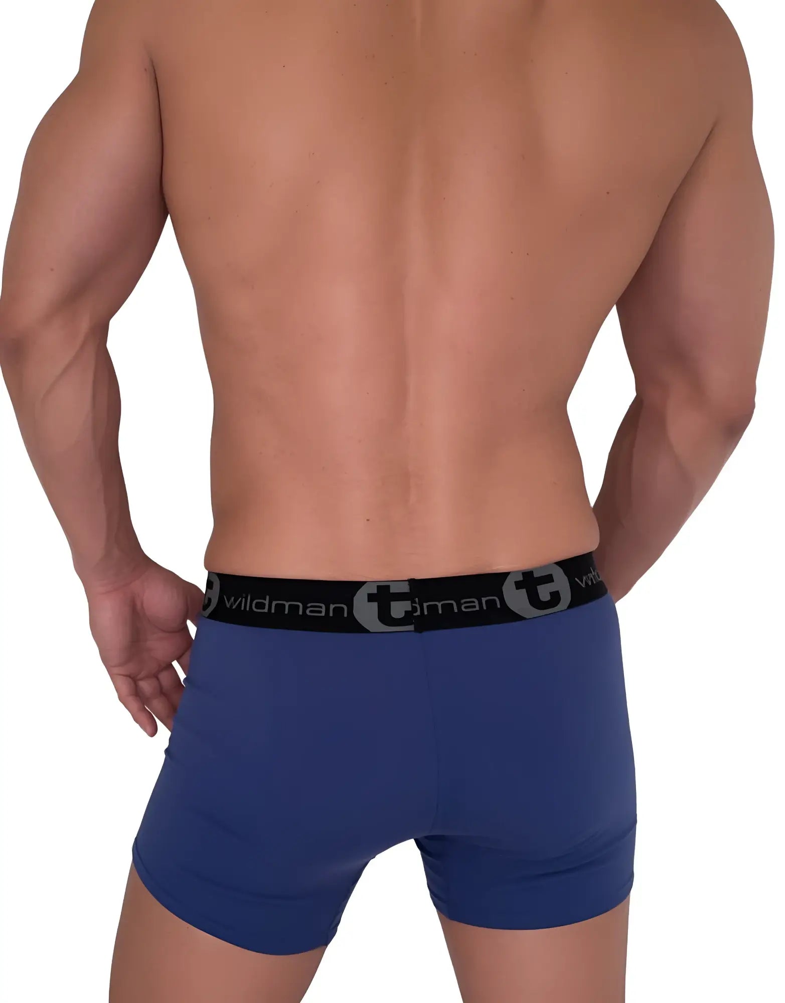 Blue men’s briefs with a black elastic waistband featuring the ’wildman’ brand logo.
