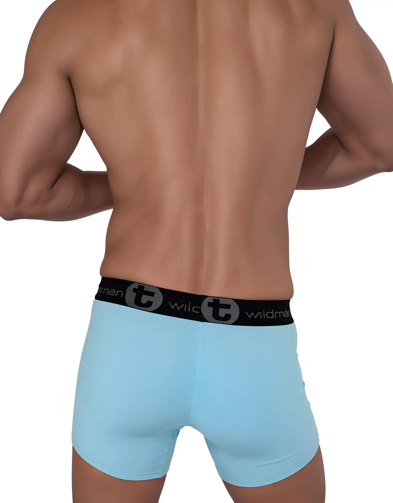 Light blue cotton wildmant boxer briefs with 5 inch inseam and black waistband featuring logo and circular t emblem
