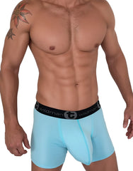 Light blue wildman cotton boxer briefs with 5 inch inseam and black waistband featuring brand name and logo