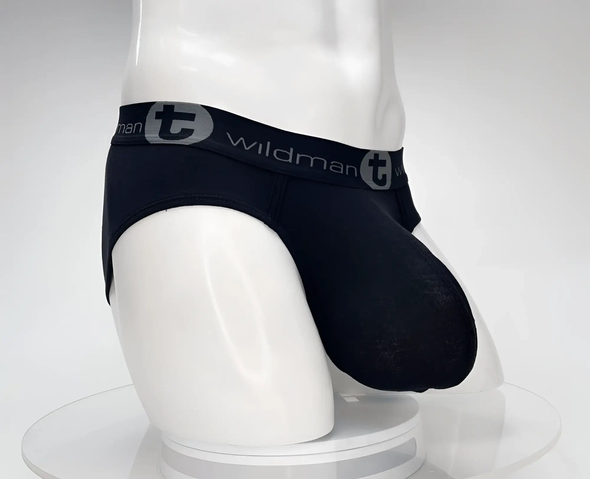 Black Wildman brand men’s cotton briefs with a gray logo band from the WildmanT Cotton Monster Cock Brief Black line