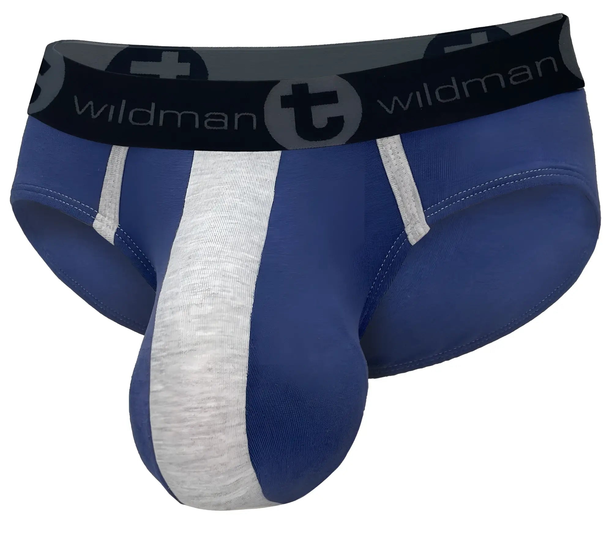 Blue and gray striped WildmanT cotton monster cock brief with black waistband featuring Wildman brand logo