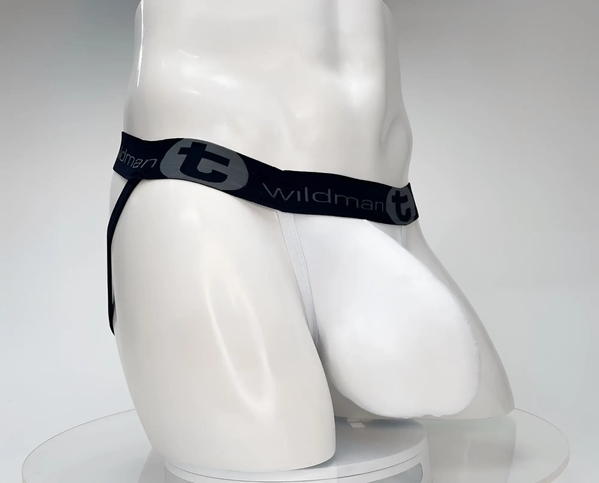 White wildman briefs with black elastic waistband featuring t logo and brand name in gray lettering cotton material