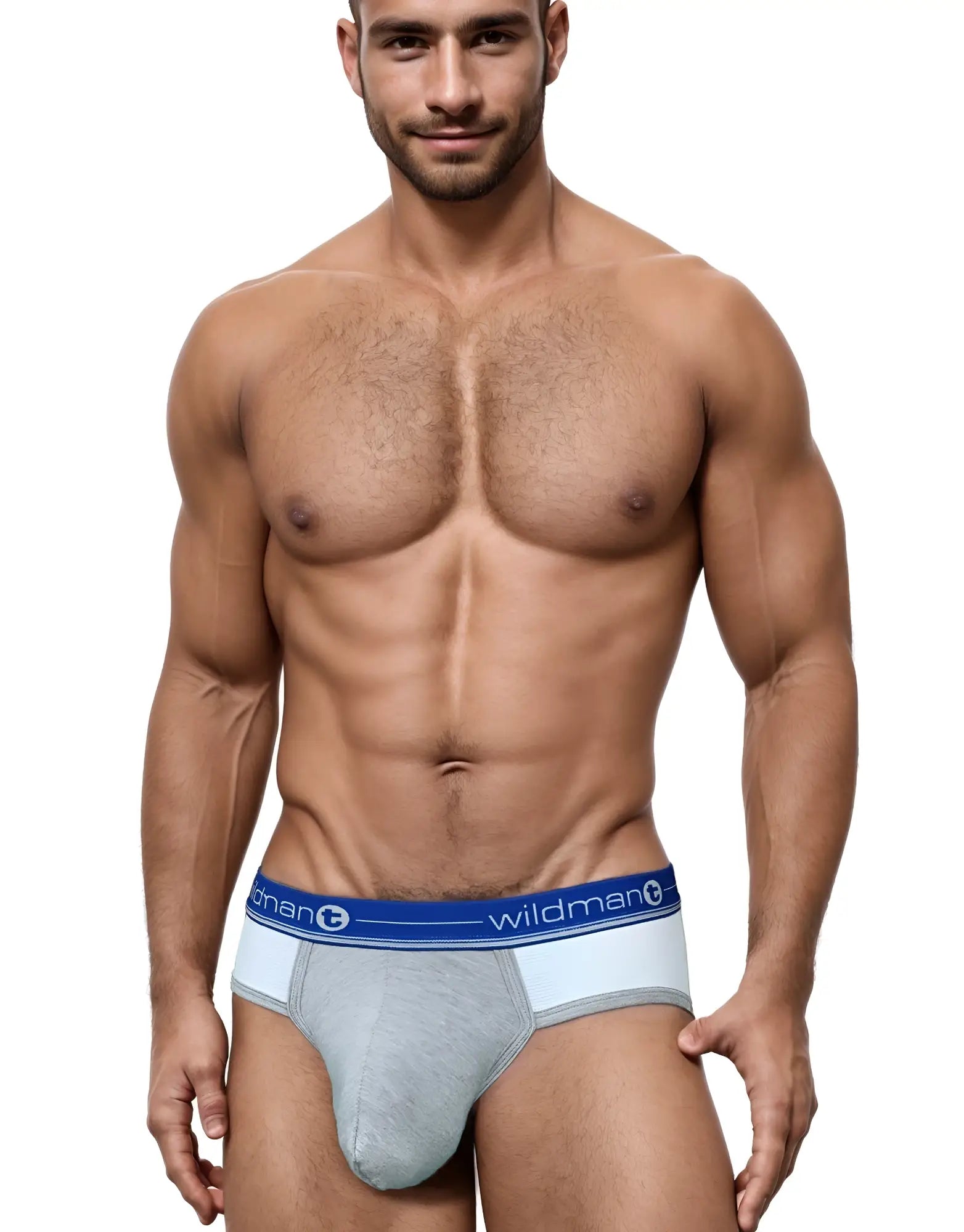 Wildmant duo big boy pouch brief in gray and white with a blue elastic waistband featuring the wildman logo