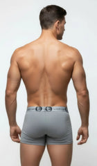 Wildmant modal big boy pouch gray boxer briefs with subtle textured fabric and black logo waistband