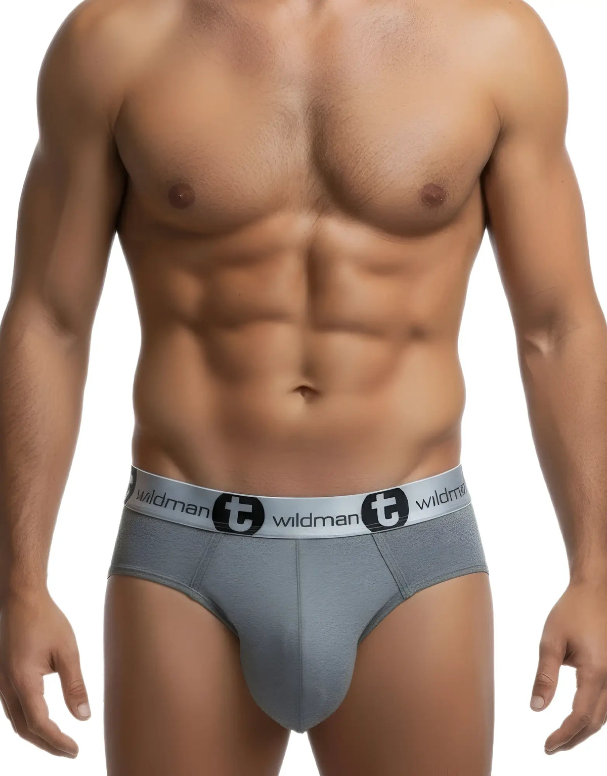 Gray wildman modal big boy pouch briefs with white elastic waistband featuring brand logo in silver gray color