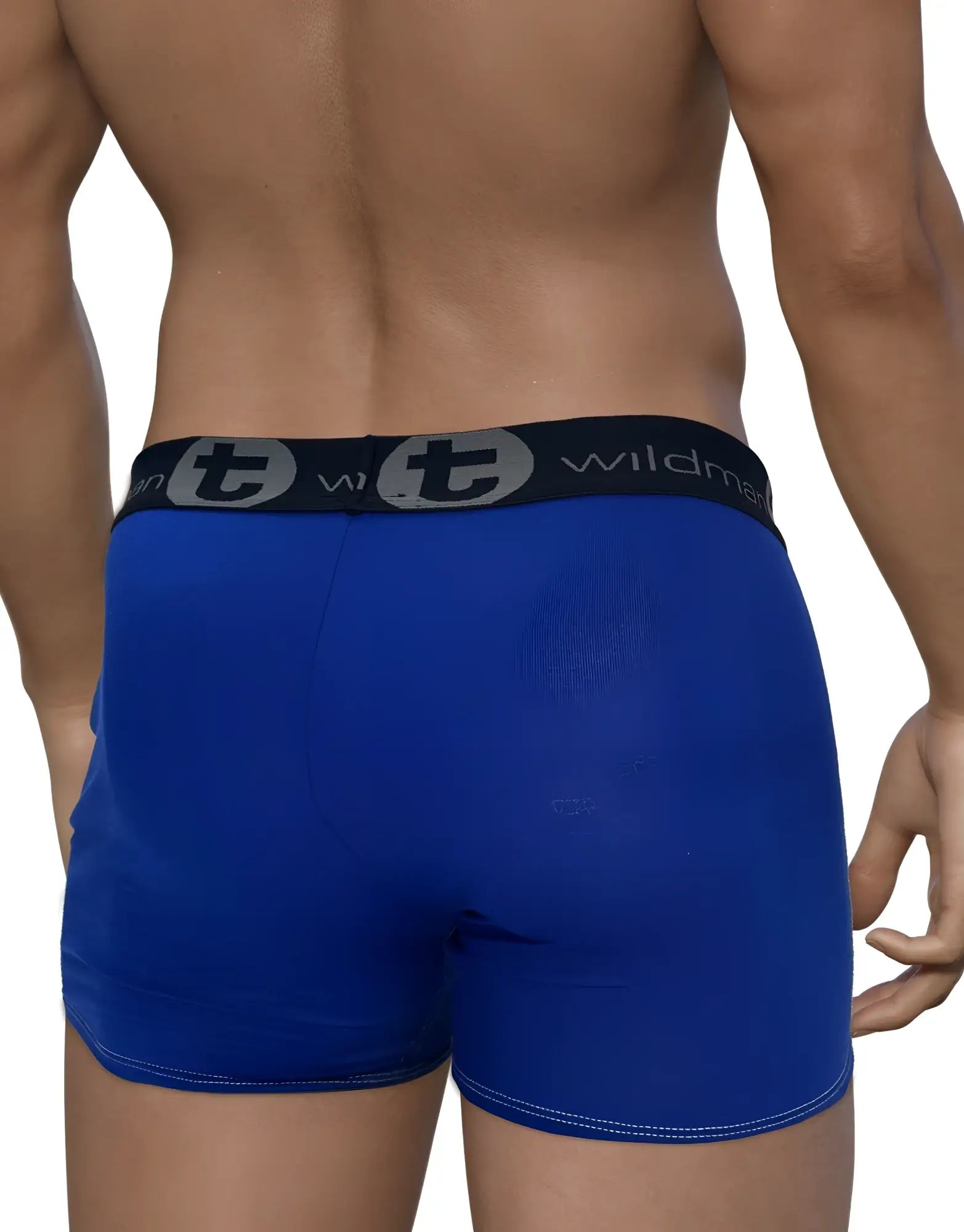 Royal blue wildmant modal monster cock boxer briefs with 5 inch inseam and black waistband featuring t logo