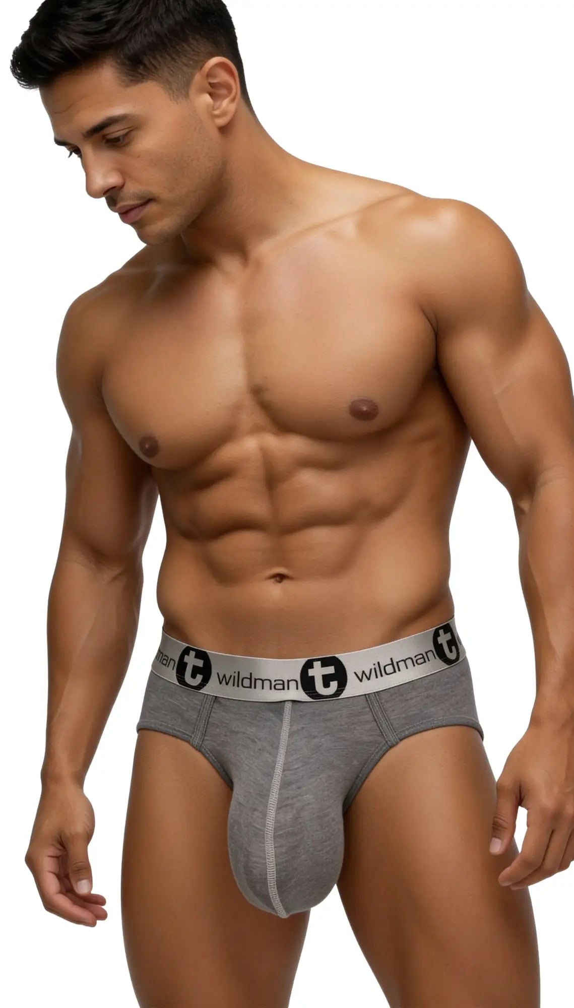 Gray textured modal briefs with a white elastic wildman logo waistband and black lettering in the front view