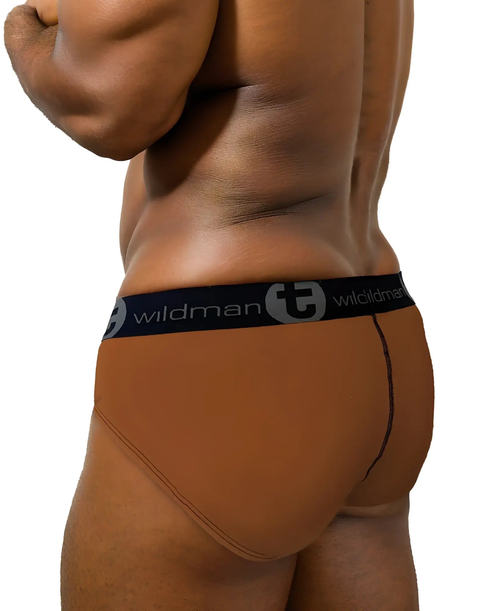 Brown wildman cotton briefs with black waistband featuring wildman logo and stylized t emblem in stripe brown tan