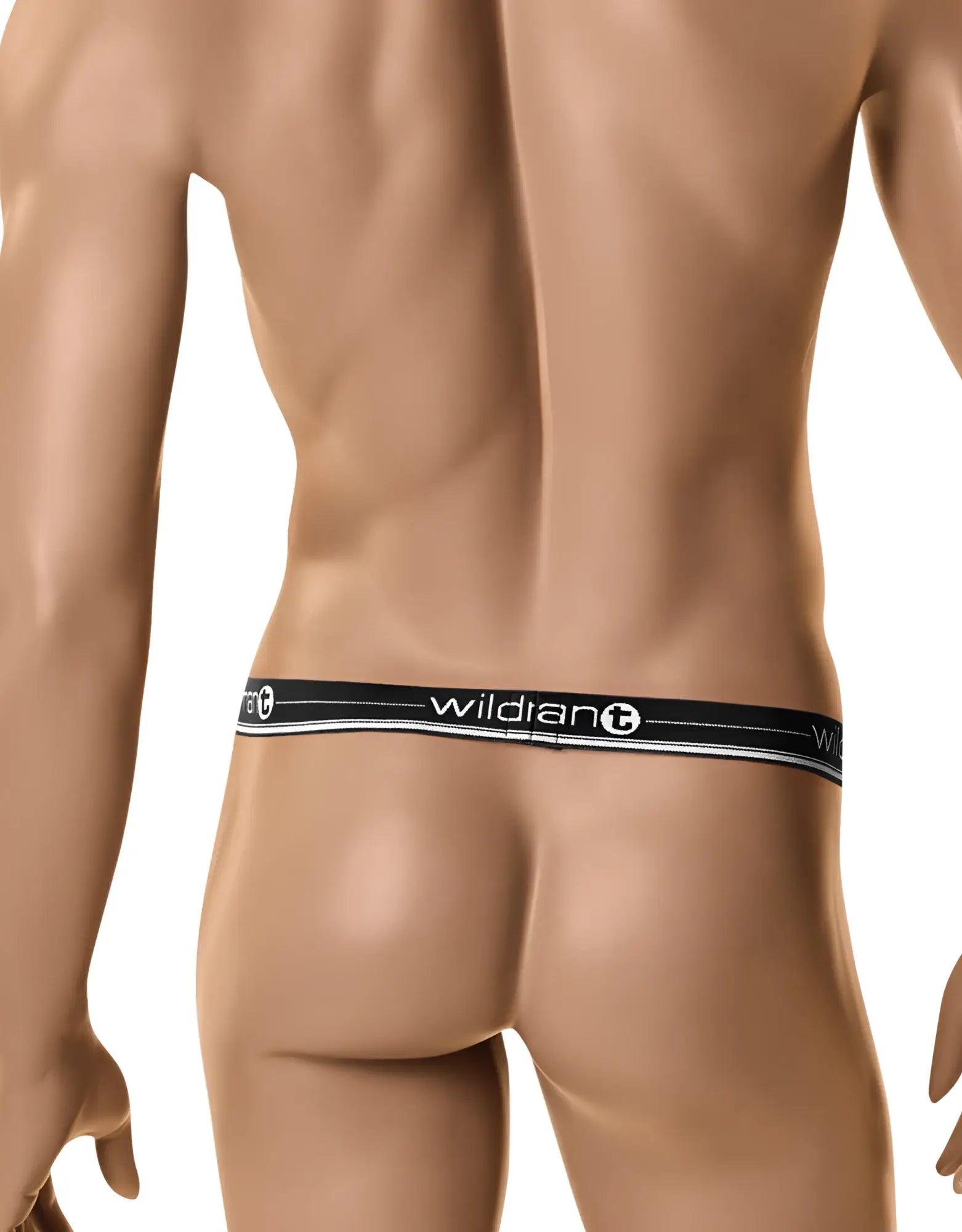 Black elastic waistband with white wildian logo and silver trim on the wildmant original ball lifter black mannequin