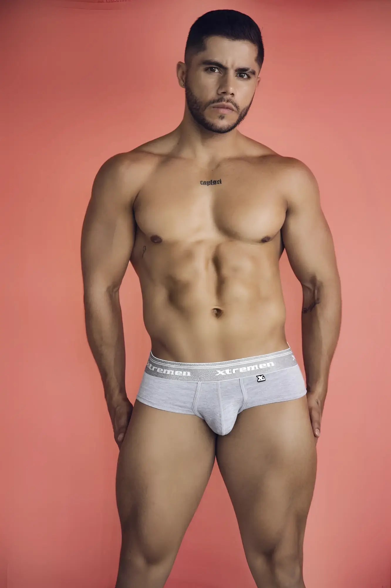 Gray cotton blend briefs with xtreme branded waistband in jasper gray color from xtremen 41315 collection