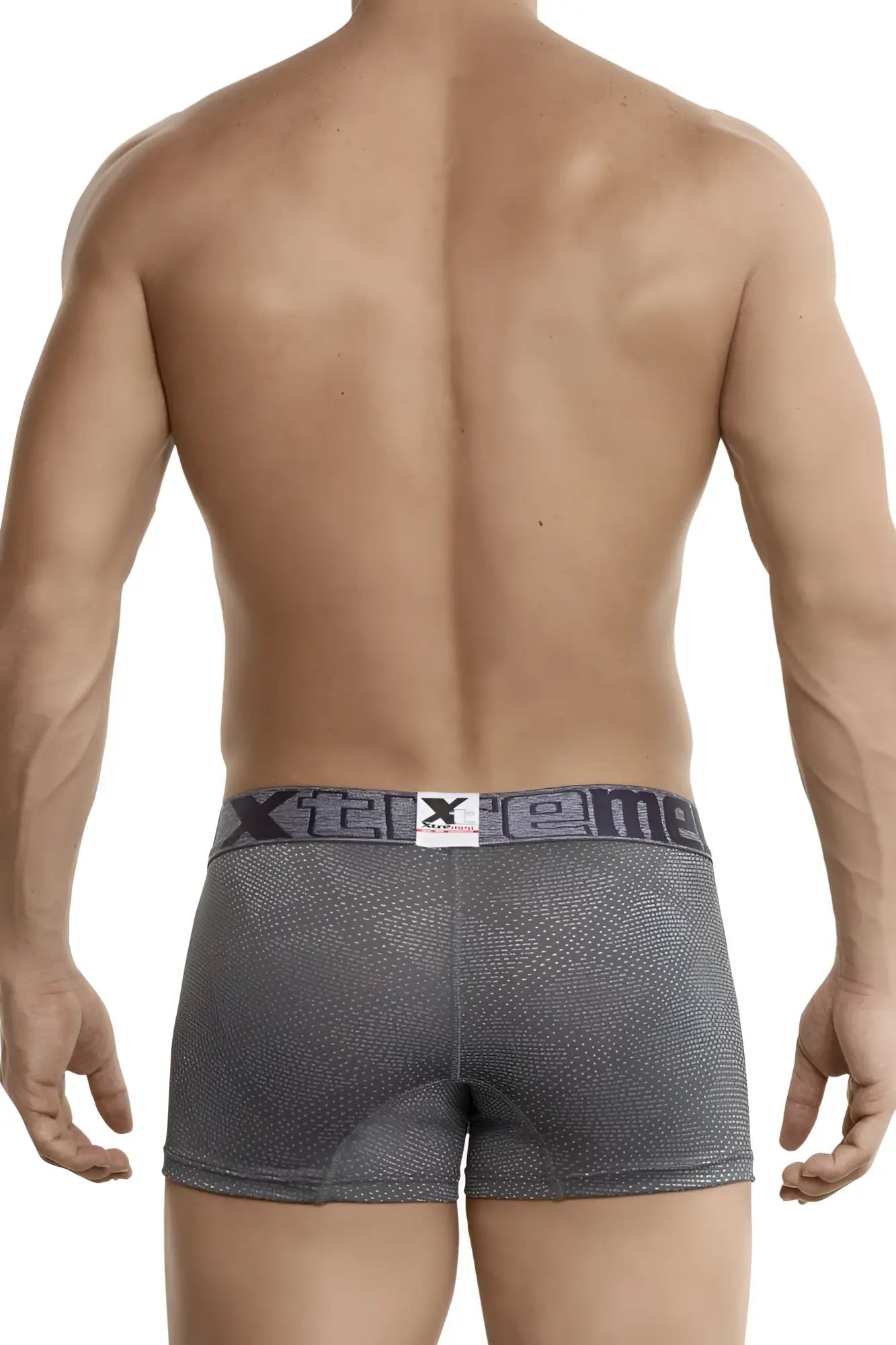 Gray textured jacquard stripes boxer briefs with dark gray waistband featuring xtreme brand logo by Xtremen